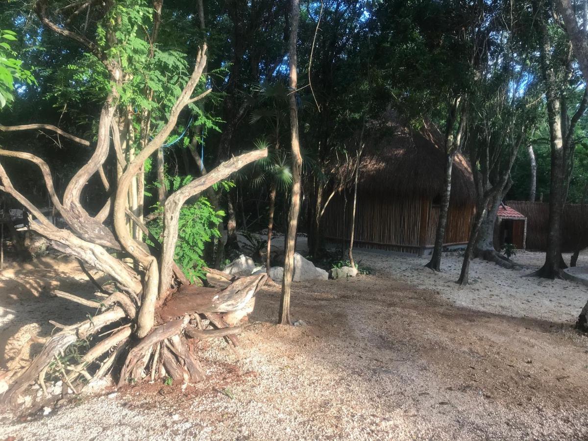 Tulum Nueve Exterior foto