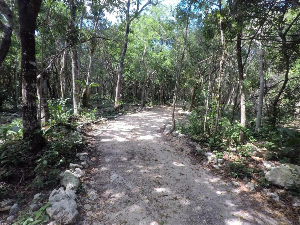 Tulum Nueve Exterior foto